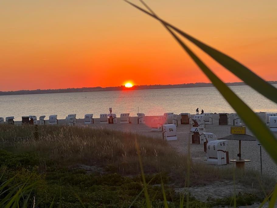 Neue Ferienwohnung Kuestennaehe Mit Terrasse 3Km Zum Strand Osdorf Eksteriør billede