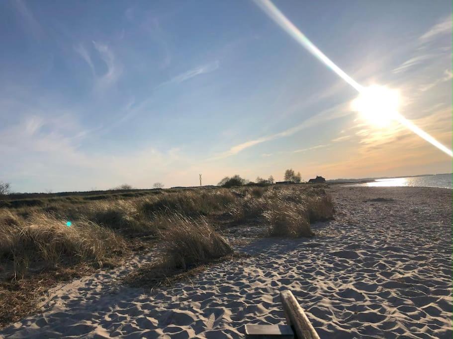 Neue Ferienwohnung Kuestennaehe Mit Terrasse 3Km Zum Strand Osdorf Eksteriør billede
